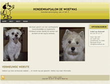 Tablet Screenshot of dewoefwas.be